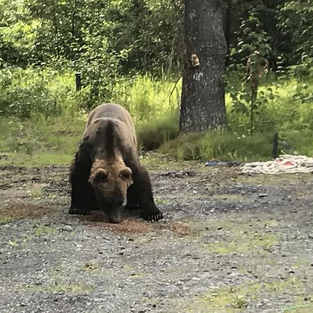 Resurrection River Rentals Seward Bagian luar foto