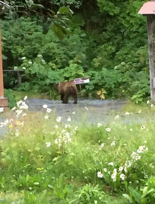 Resurrection River Rentals Seward Bagian luar foto