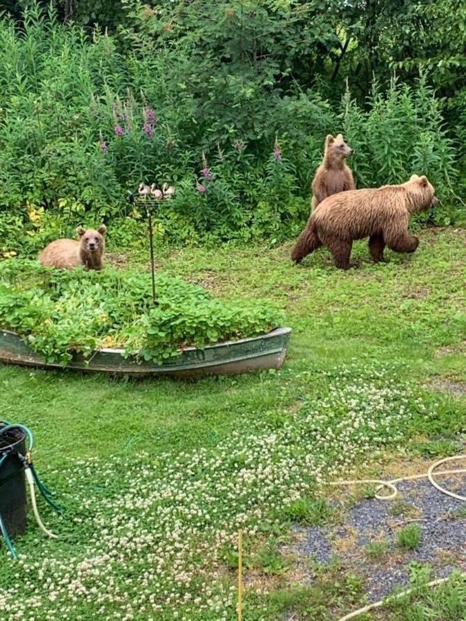 Resurrection River Rentals Seward Bagian luar foto