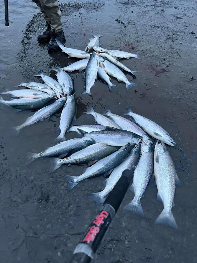 Resurrection River Rentals Seward Bagian luar foto