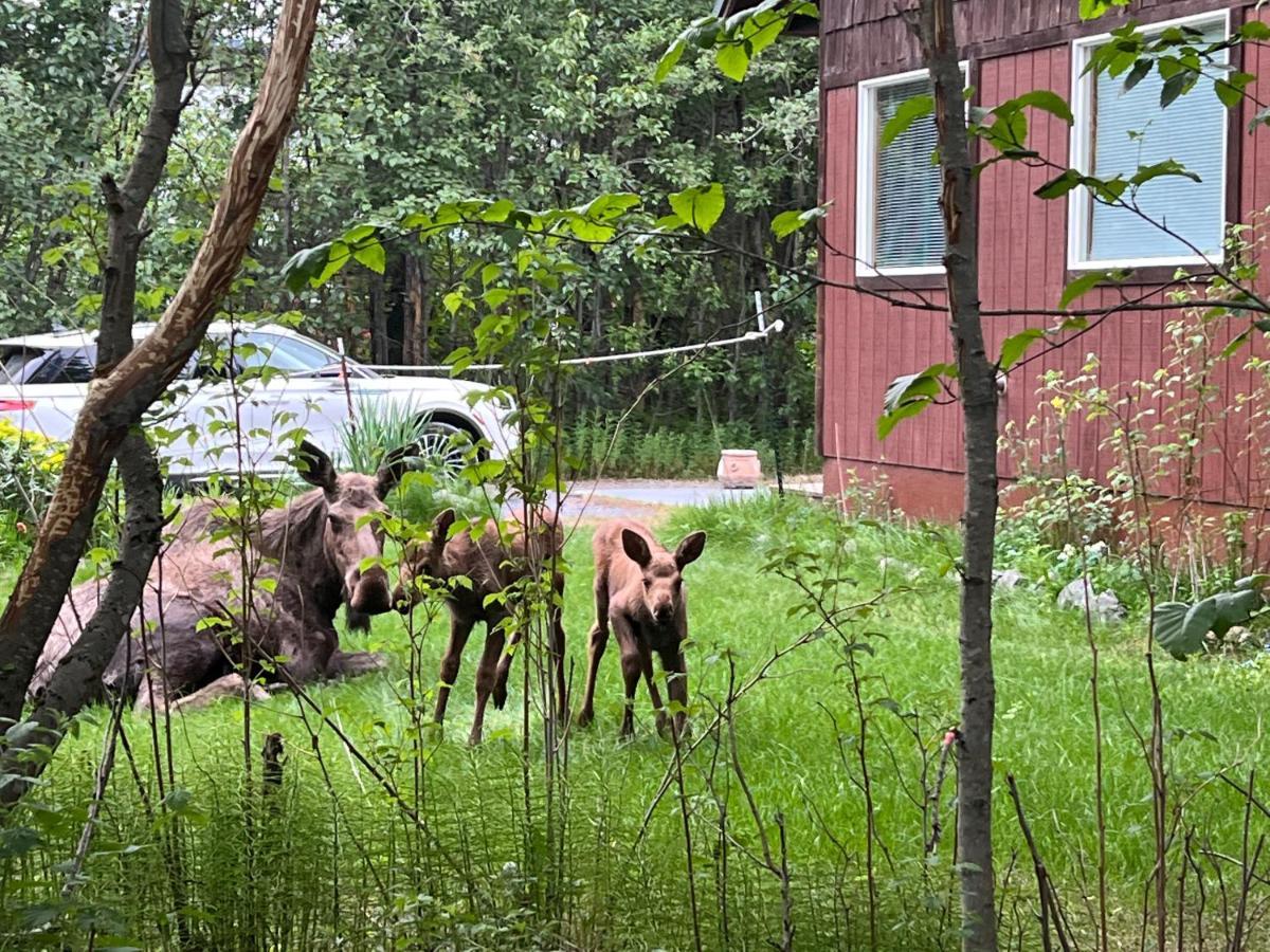 Resurrection River Rentals Seward Bagian luar foto